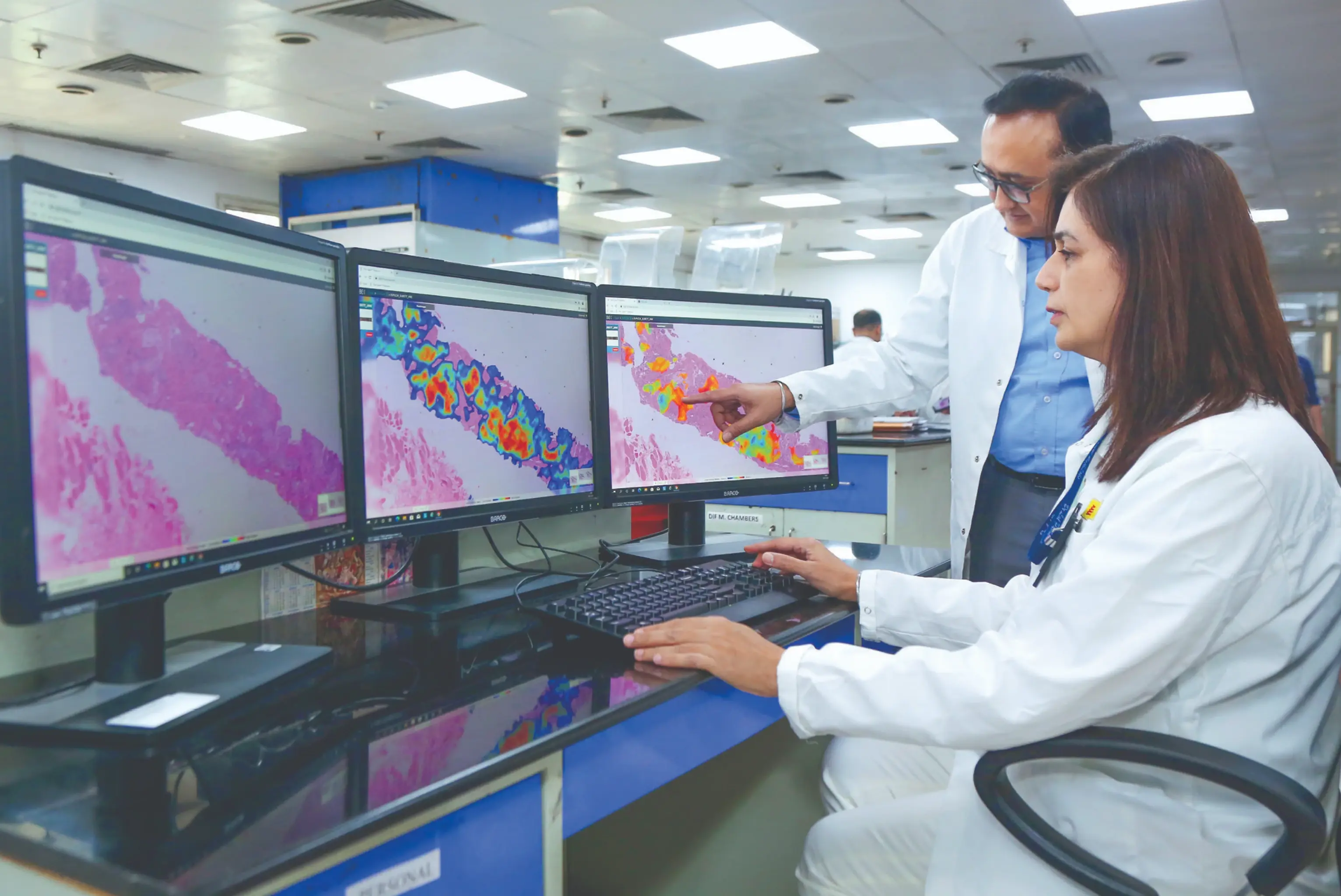 Oncology IHC / Histopath
