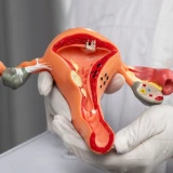 Persistent infection